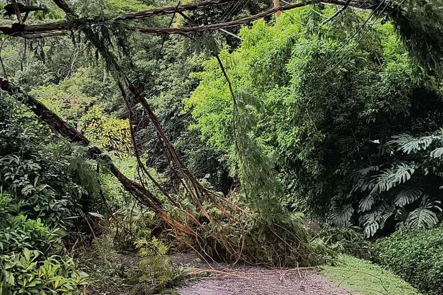 Ventos fortes provocam caos em Petrópolis-RJ