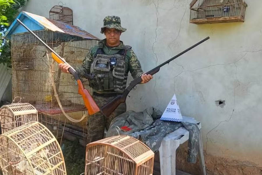 Homem suspeito por porte ilegal de arma e aves silvestres é detido em Araruama-RJ