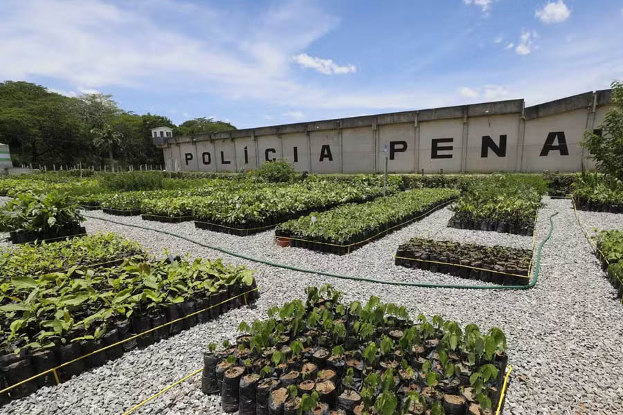 Novo viveiro florestal é inaugurado em presídio de Itaperuna-RJ